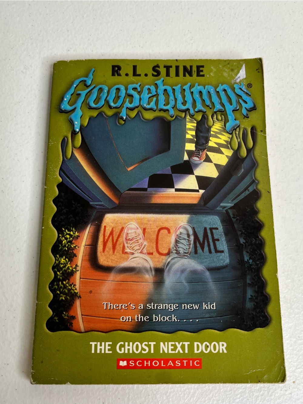 Goosebumps #10 The Ghost Next Door 1993 Paperback Book Original Series